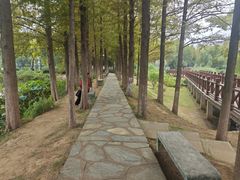 -金银湖国家城市湿地公园
