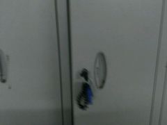 -佳明游泳馆(惠新西街南口店)