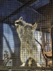 -酷嗒动物文化乐园(cutezoo西溪乐天城店)