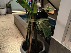 -滇铺子·云南特色菜·第九届野生菌美食节(东风东路c86店)