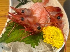 -九酢·海鲜居酒屋