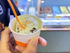 -iceason爱茜茜里·意大利健康冰淇淋(骑龙巷店)