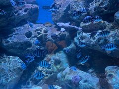 -海合安成都极地海洋公园