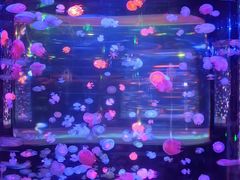 -邯郸海洋世界
