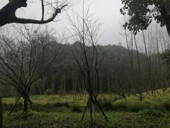 -杭州林泉山庄