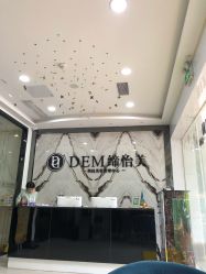 -DEM缔怡美科技美容
