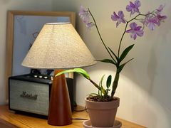 -本無咖啡·BeanWood Coffee