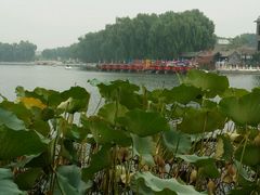 -甲丁坊