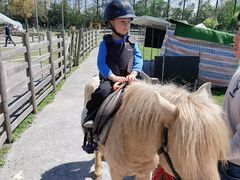 -前小桔亲子创意农场·草莓采摘·露营烧烤