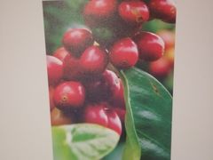 -Peet's Coffee皮爷咖啡(豫园店)