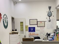 -中农国际动物医院24小时·猫科·骨科·急重症中心