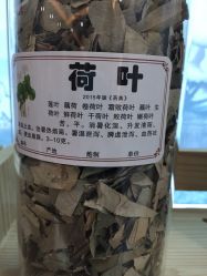 -北京安琪