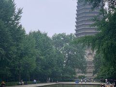 -玲珑塔公园