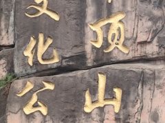 -重庆平顶山公园