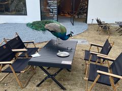 -J Create城市露营咖啡·简餐·宠物(上海动物园店)