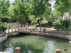 -南宫五洲植物乐园