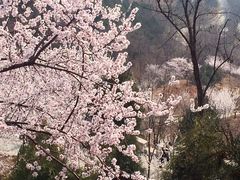 -北京西山国家森林公园