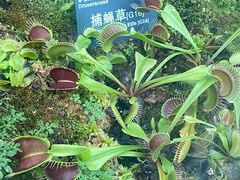 -国家植物园南园
