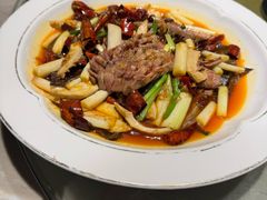 -新渝城·川菜·火锅(区庄店)