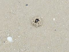 -北海金海湾红树林生态旅游区