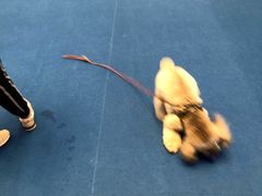 -东浩兰生上海世博展览馆