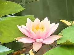 -海淀公园