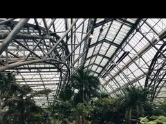 -南山植物园