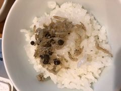 -黒豚料理 寿庵(中央駅西口店)