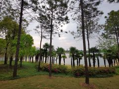 景点-美兰湖景区