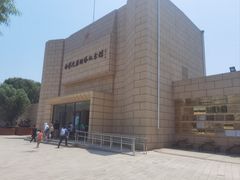 -白洋淀景区