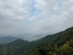 -梧桐山风景名胜区