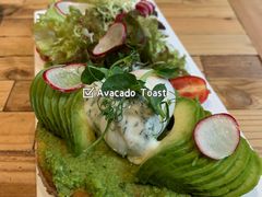 avocado&nbsp;toast-Elephant Grounds(STARSTREET)