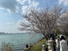 -苏州独墅湖世尊酒店
