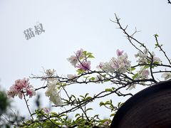 -厦门园林植物园-植物园滴水山房