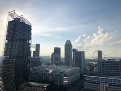 -新加坡瑞士史丹福酒店