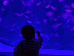 -沈阳海洋探索中心