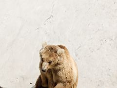 -哈尔滨北方森林动物园