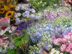 -循礼门鲜花花市(武汉循礼门店)