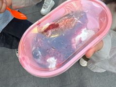 -和田爱乐塔西娜刨冰粽子