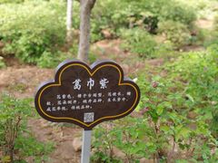 -洛阳市隋唐城遗址植物园
