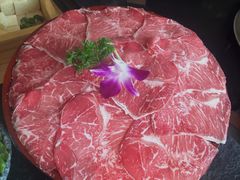 -新草堂锅物料理(泉城路店)
