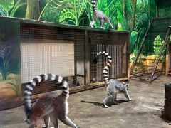 -西安秦岭野生动物园