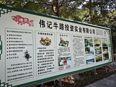 -伟记牛蹄(道滘店)