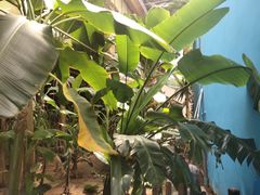 -北国之春国宴(乌兰察布店)