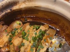 -永記粤菜·五指毛桃花雕鸡煲(九亭店)