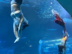 -太平洋海底世界