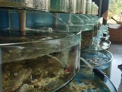 -蓝珊甄选海鲜自助·火锅大排档(近阿那亚店)