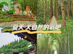 -同里国家湿地公园