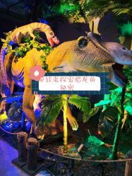 点击看大图 -恐龙探索乐园(磁器口店)