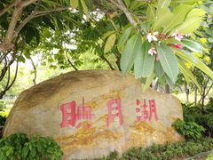 -映月湖公园